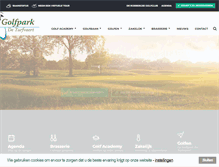 Tablet Screenshot of deturfvaert.nl